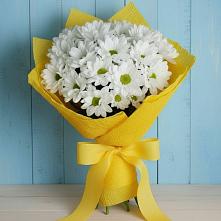 Букет цветов из:  Хризантемы #REPLACE_PRED# Большовской