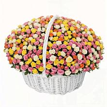 Премиум букет из: Розы #REPLACE_PRED# Большовской