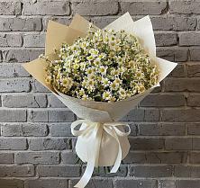 Букет цветов из:  Ромашки в Большовской