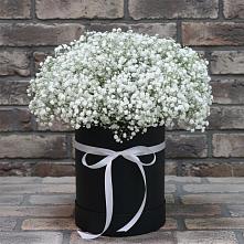 Цветочная композиция из Гипсофила в шляпной коробке в Большовской